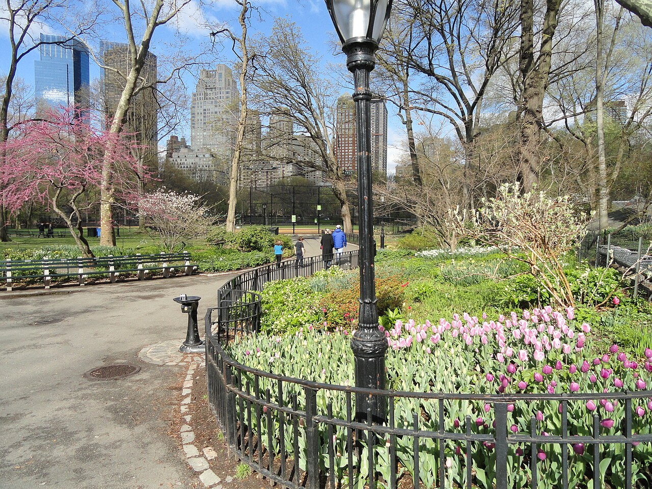Springtime walking paths, flowers and trees in Central Park, an older contextual photograph