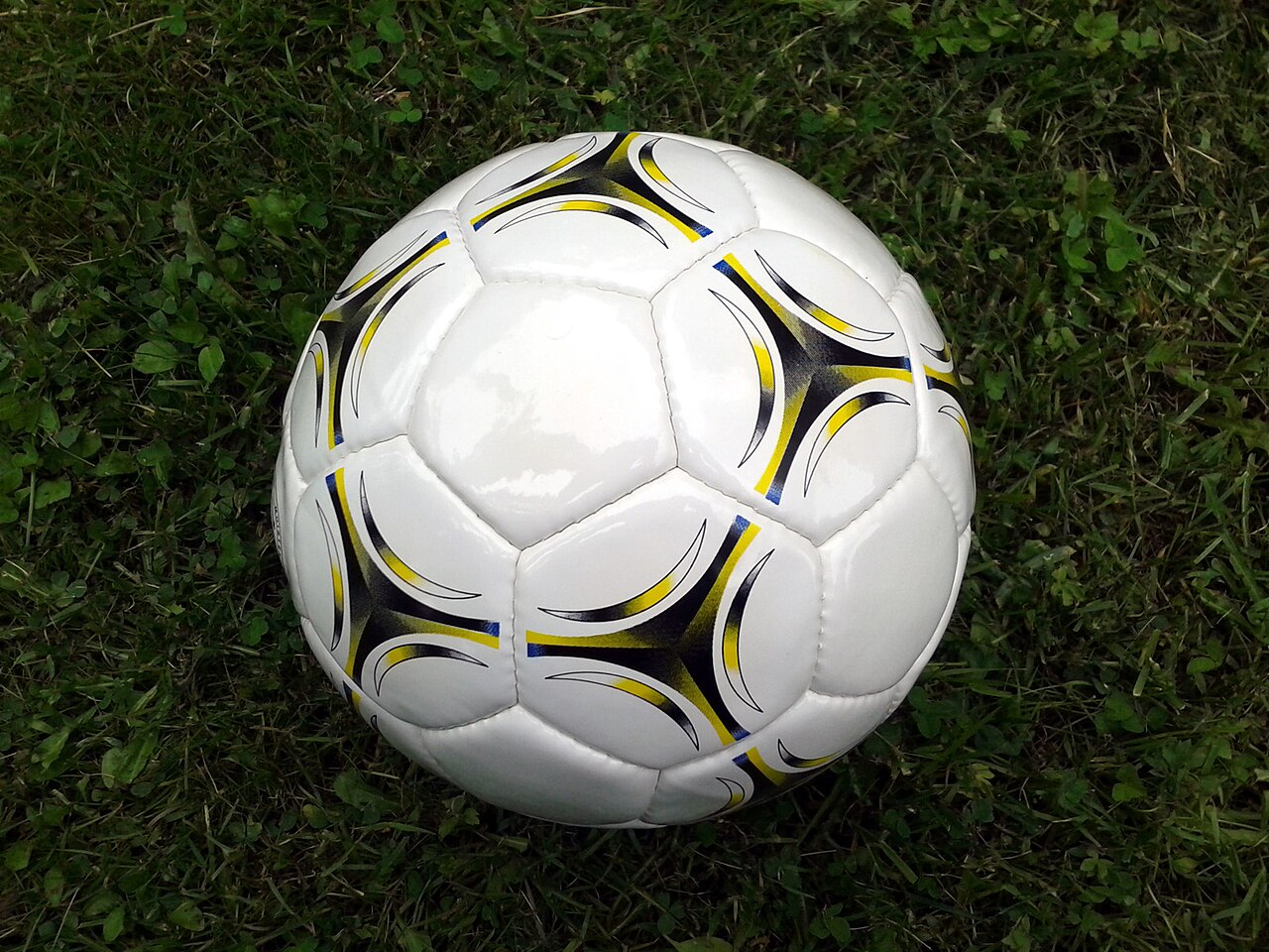A generic association football on grass, not a photograph of the DFB-Pokal draw