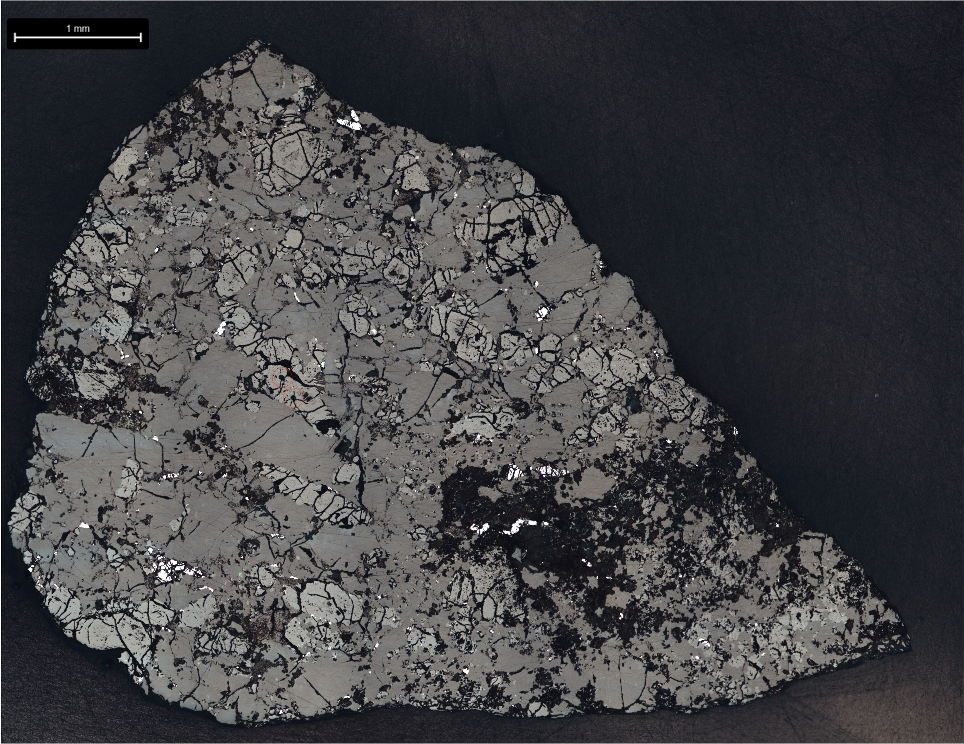 Reflected-light image of a fractured gray slice of Martian meteorite Teghaza 001, with a one-millimetre scale bar in the original image